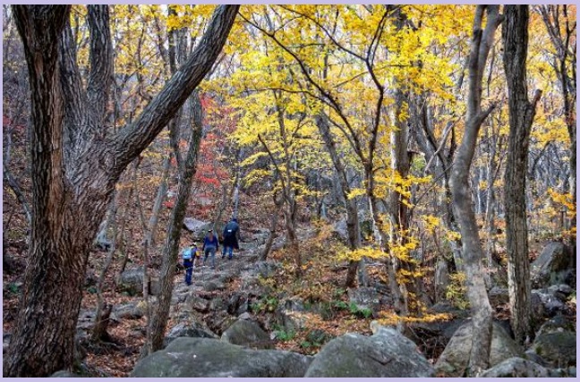 부산 금정산 국립공원 지정