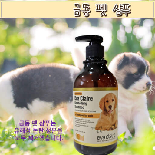 25년 공정위, 상반기 경쟁제한적 규제 개선방안 발표)