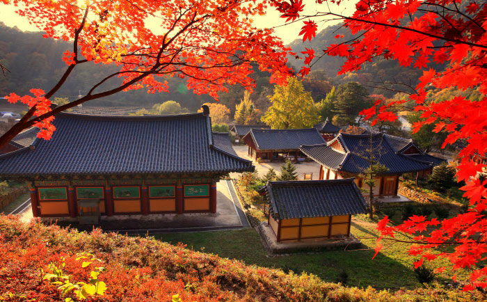 강원도 가을 단풍 여행 가이드 : 2025 홍천 수타사 단풍 절정 시기 & 추천 코스