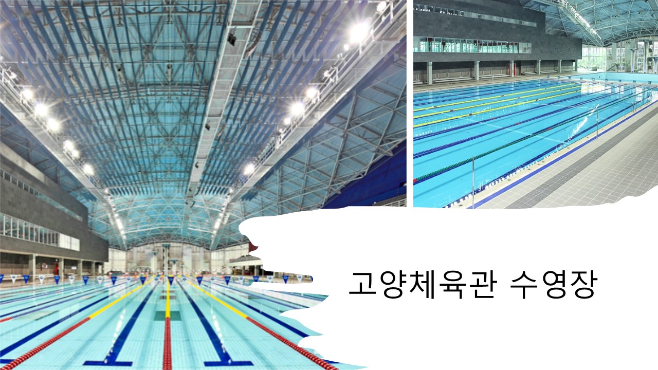 고양체육관 수영장 이미지
