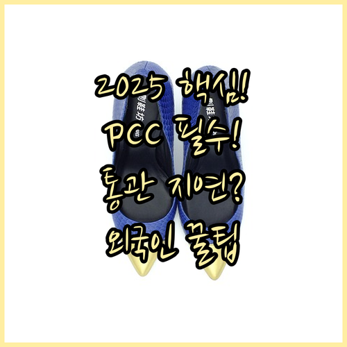 2025년 외국인 PCC 필수 통관 ..