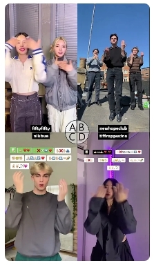 소셜미디어 틱톡