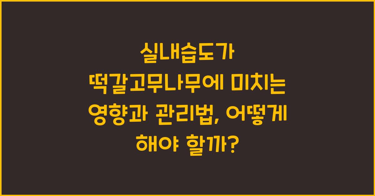 실내습도가 떡갈고무나무에 미치는 영향과 관리법