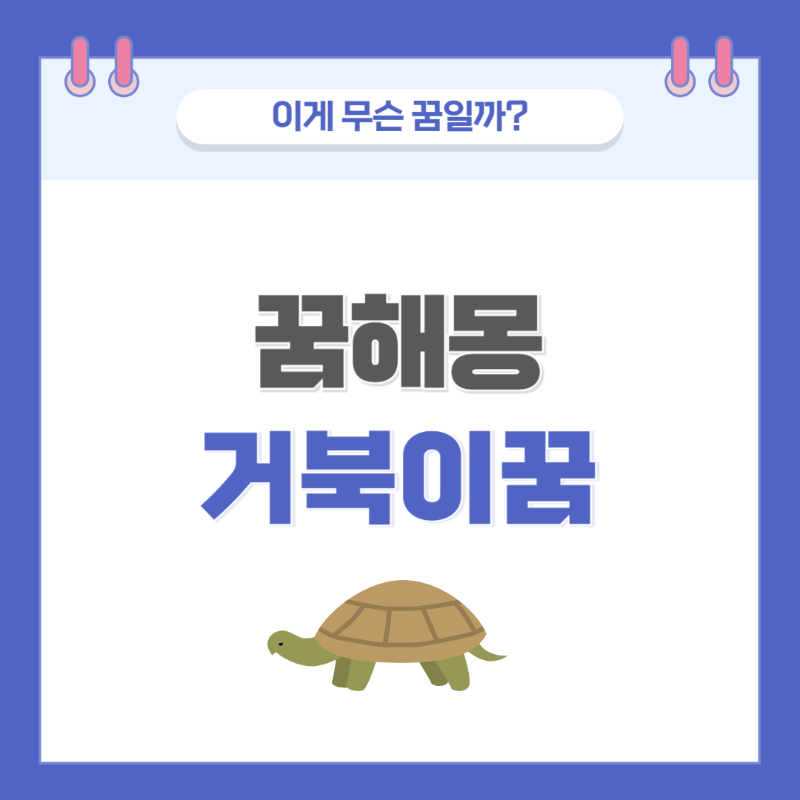 [꿈해몽] 거북이 나오는 꿈 의미와 해석