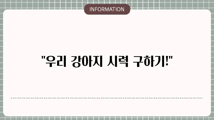 애견 백내장 안약: 반려동물 치료 옵션