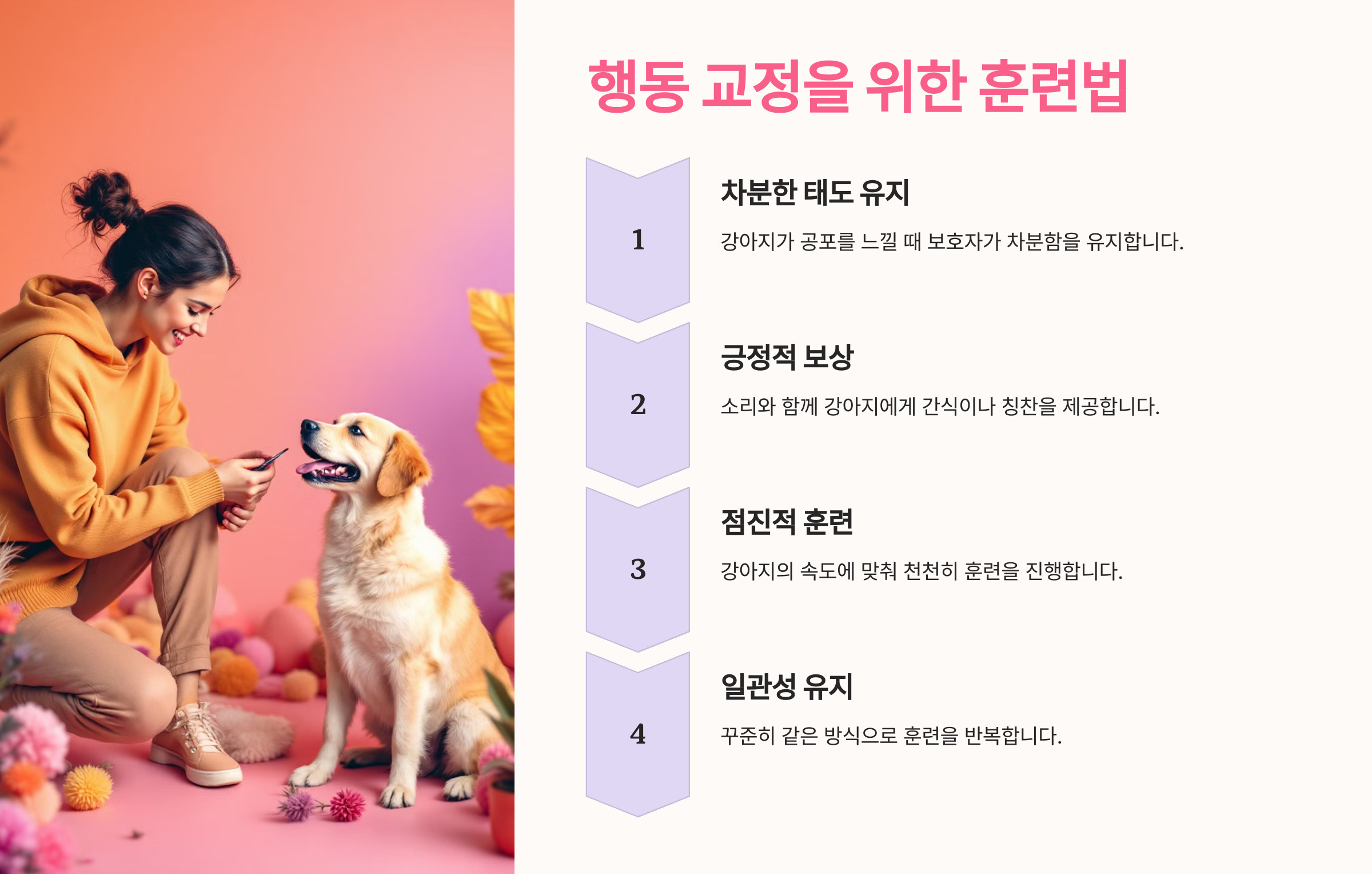 행동 교정을 위한 훈련법