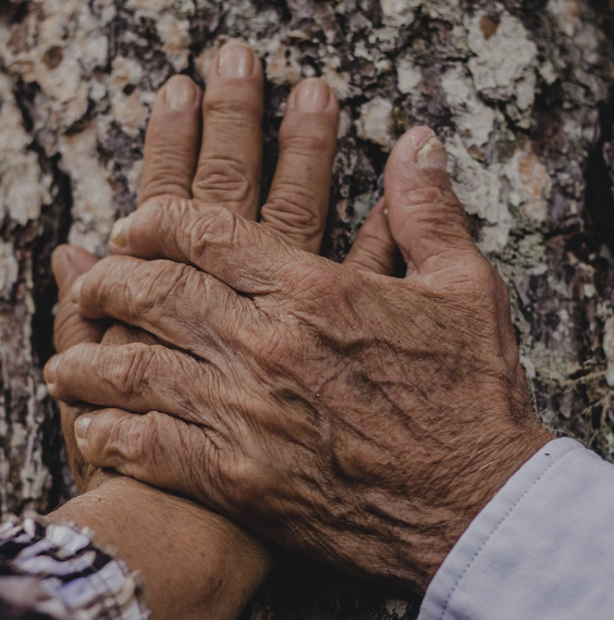 영화 &lsquo;타오르는 여인의 초상&rsquo; &ndash; 시선과 열정, 억압 사이의 눈부신 연대