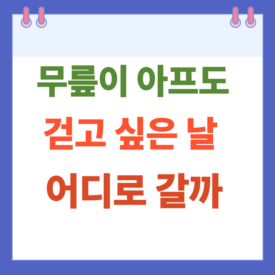 무릎이 아파도 걷고 싶은 날, 어디로 갈까? 서울한강공원 반포지구 산책로