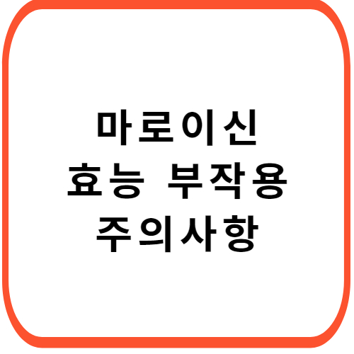 마로이신-캡슐-성분-효능-부작용-썸네일