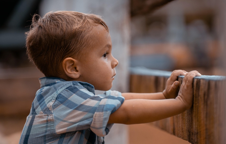 아이의 새벽 잠, 의외로 이런 일상에서 시작됩니다