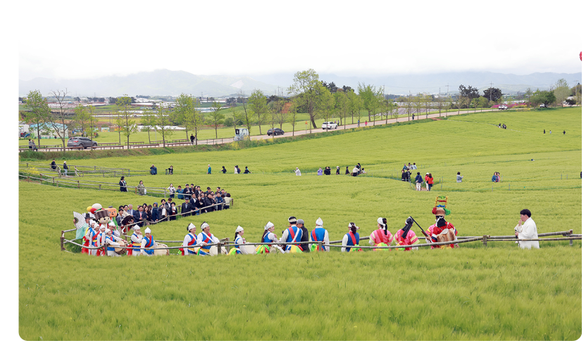 고창 청보리밭 축제