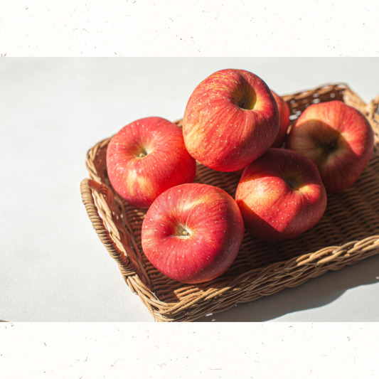 장바구니에 담긴 9월 제철 사과 홍로