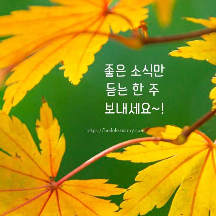 10월 중순 인사말