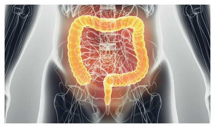 대장내시경-약-복용법