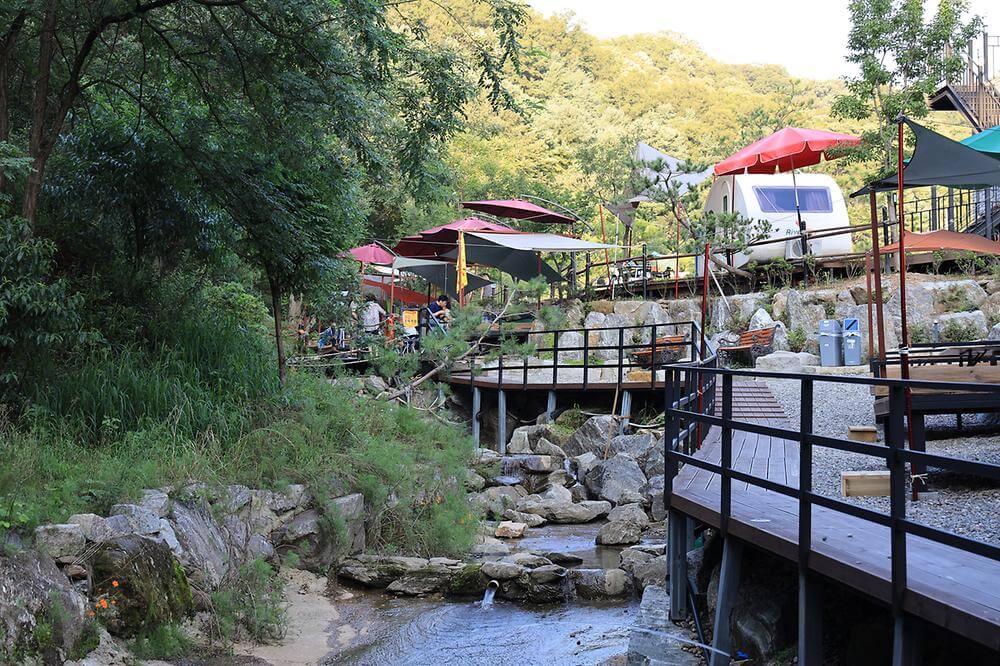 파주 초리포레스트