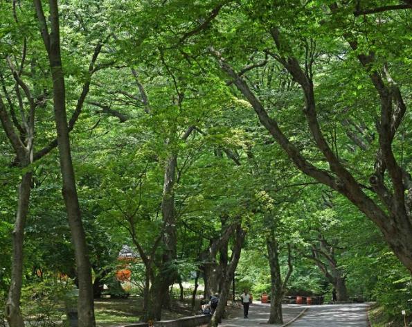 공주 가볼만한곳 베스트10