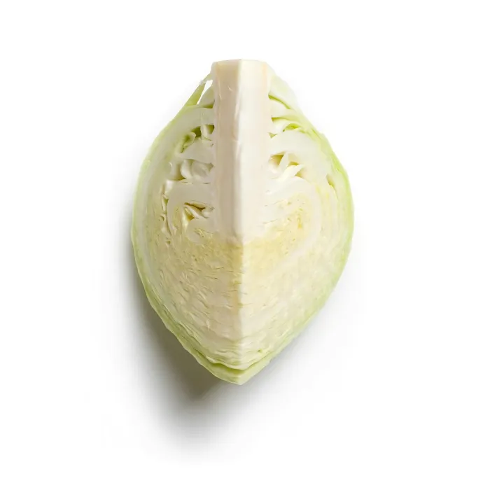 양배추-사진
