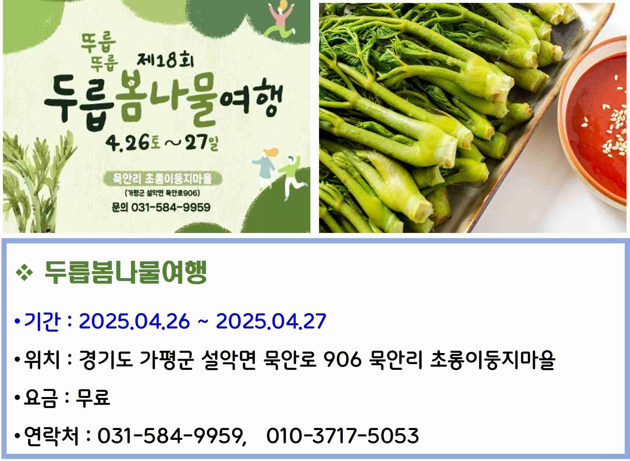 두릅봄나물여행