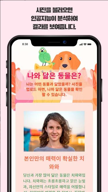 나와 닮은 동물 찾기 앱, 사진과 이미지로 얼굴 분석하기