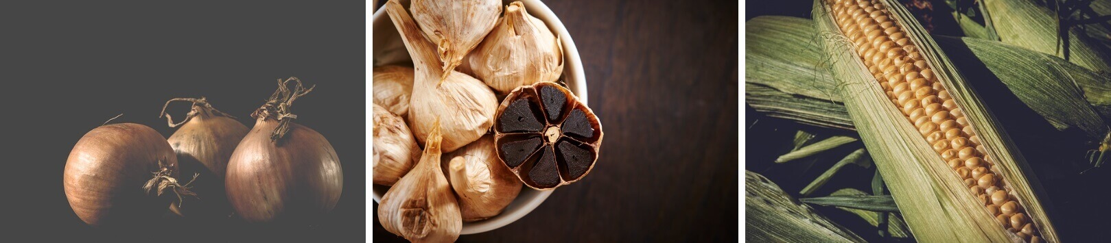양파-마늘-옥수수-사진