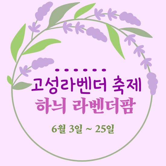 고성 라벤더축제, 하늬 라벤더팜