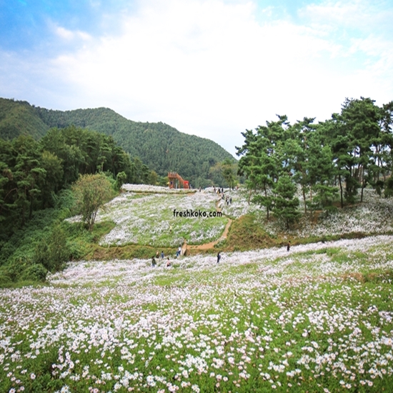 정읍 가볼만한곳 베스트10