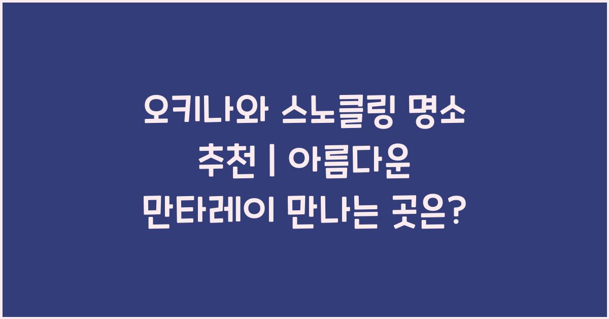 오키나와 스노클링 명소