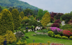 5월에 방문하는 축제 BEST 7