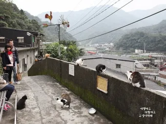 &amp;quot;대만