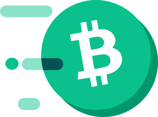 2025 가상화폐 거래소 순위