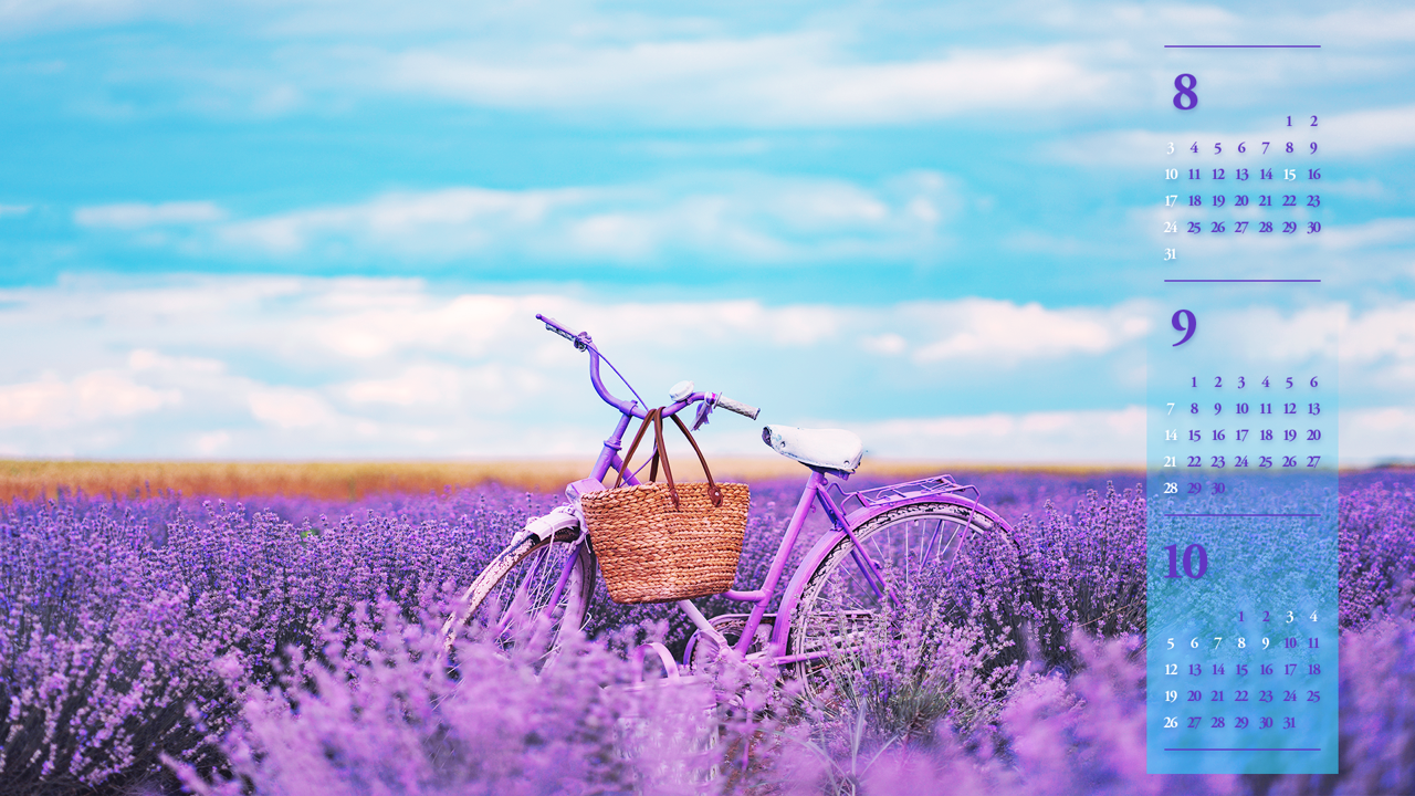 02 보라색 자전거 B - 2025년9월 노트북배경화면