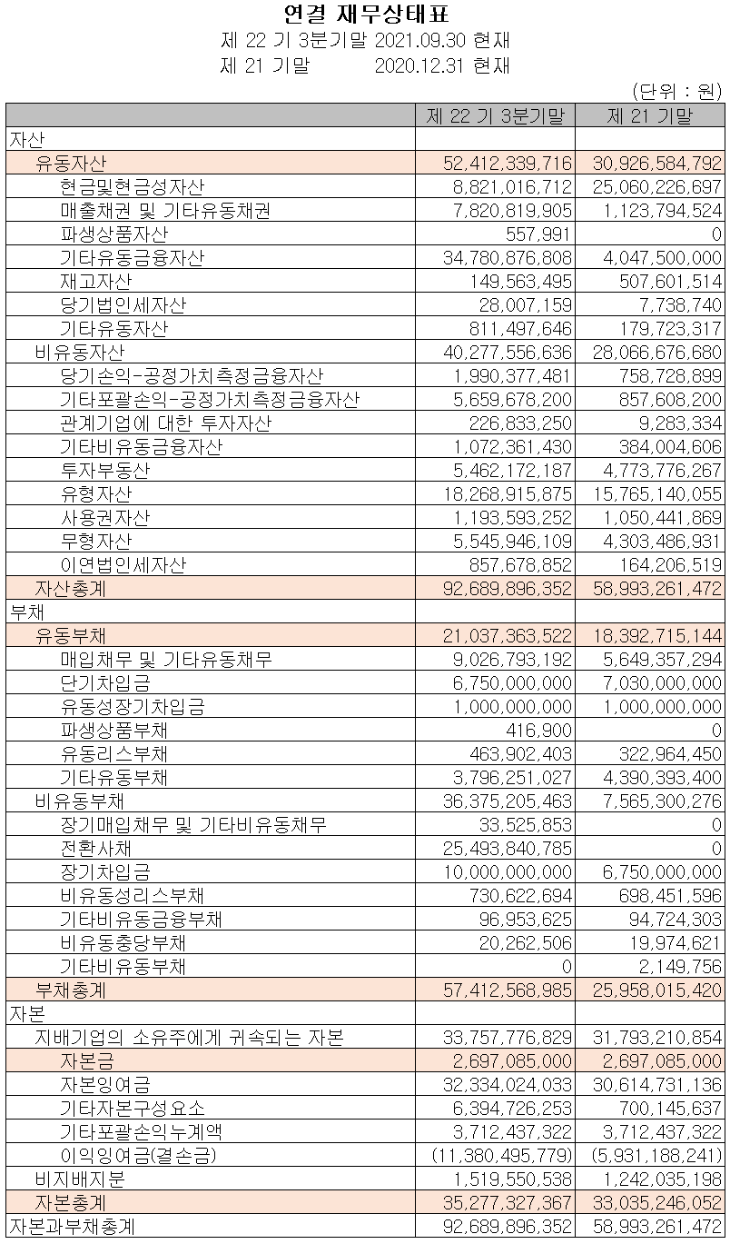 바이브컴퍼니 2021년 3분기 재무상태표