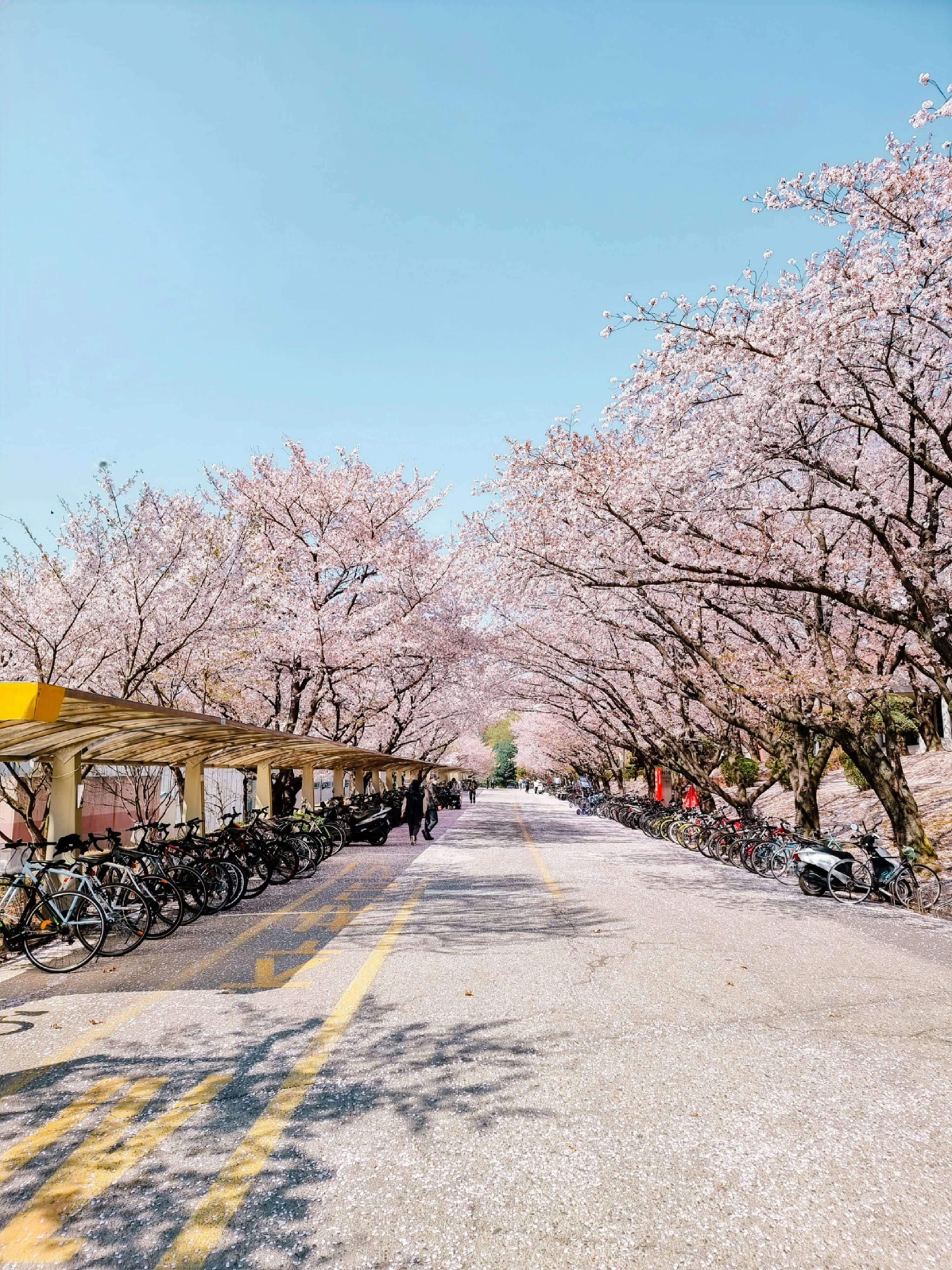 창덕궁 후원 예약
