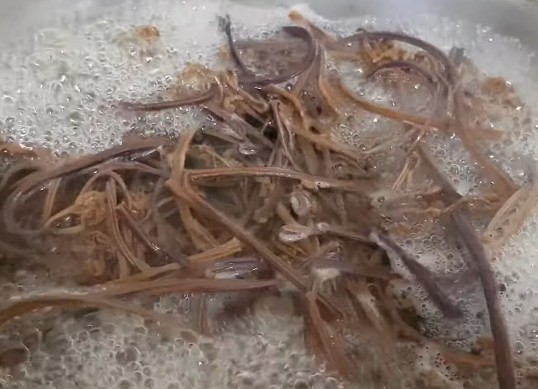 [고사리 삶는법 레시피] 말린고사리(마른고사리), 데친고사리