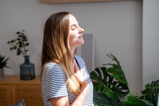 아침 햇살이 뇌에 미치는 영향 – 세로토닌과 생체 리듬의 과학