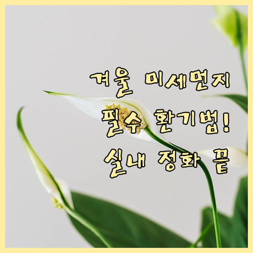 미세먼지 나쁜 날 겨울철 환기 방법 ..