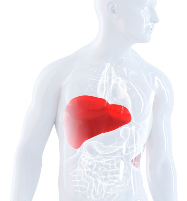 간이 상한 증상-동의보감 肝傷證