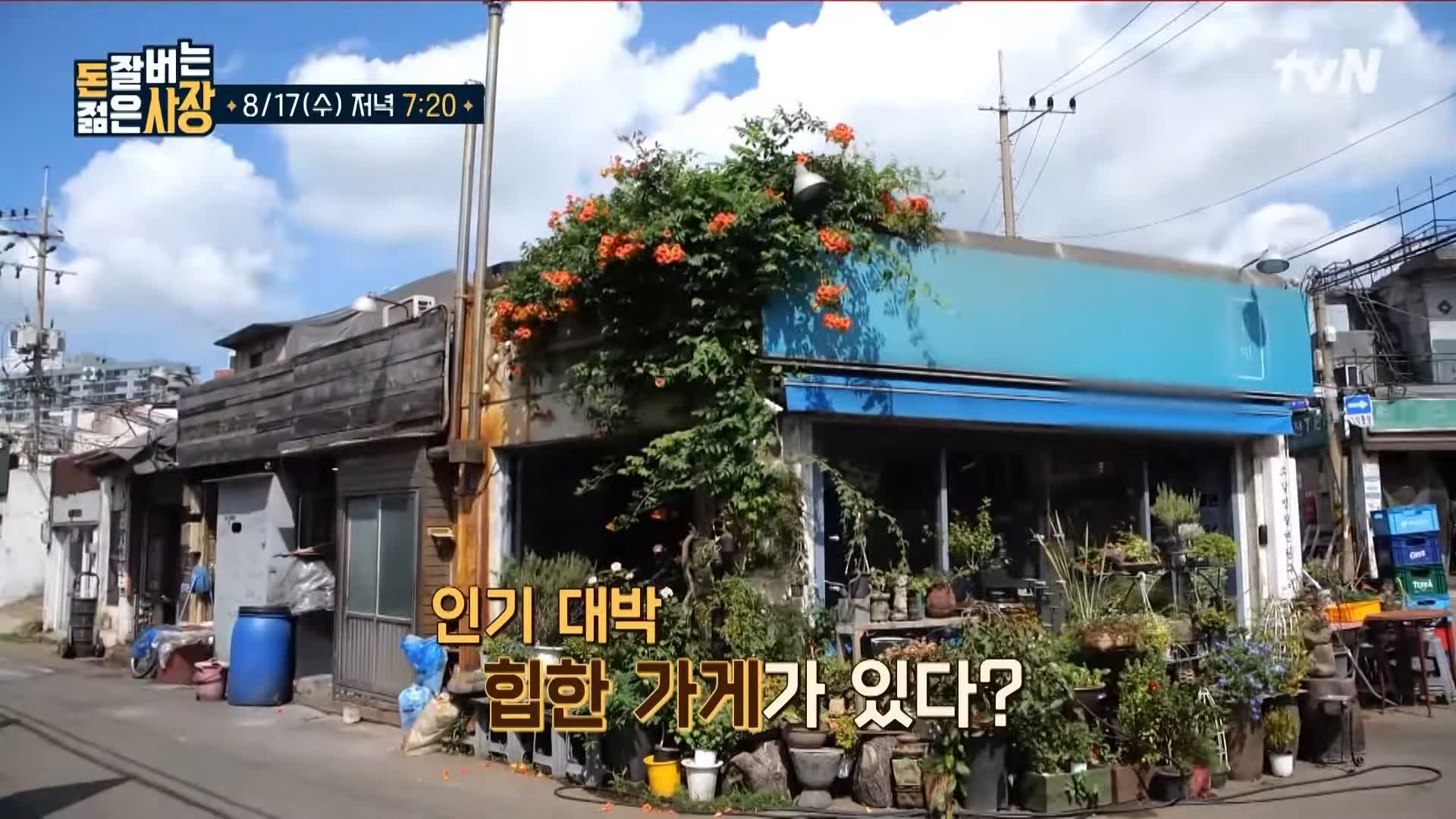 돈 잘버는 젊은사장 닭 특수부위 안창살, 가슴연골, 안심, 염통, 근위 닭갈비 숯불구이 문래동 문래역 맛집 서장훈 주우재 추천 소개