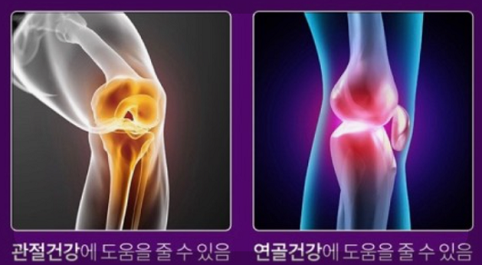 콘드로이친과 글루코사민