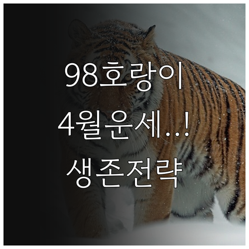 98년생 호랑이띠 2026년 4월 통..