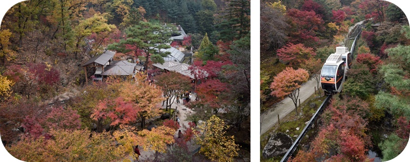 곤지암-화담숲-단풍-모노레일-풍경
