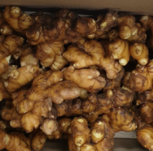 안동 생강&amp;#44; 생강청 