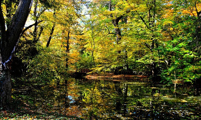 무료 폰트 다운로드 및 설치 방법