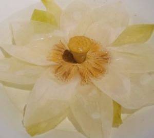 한국전통디저트 이색카페추천 BEST 10곳