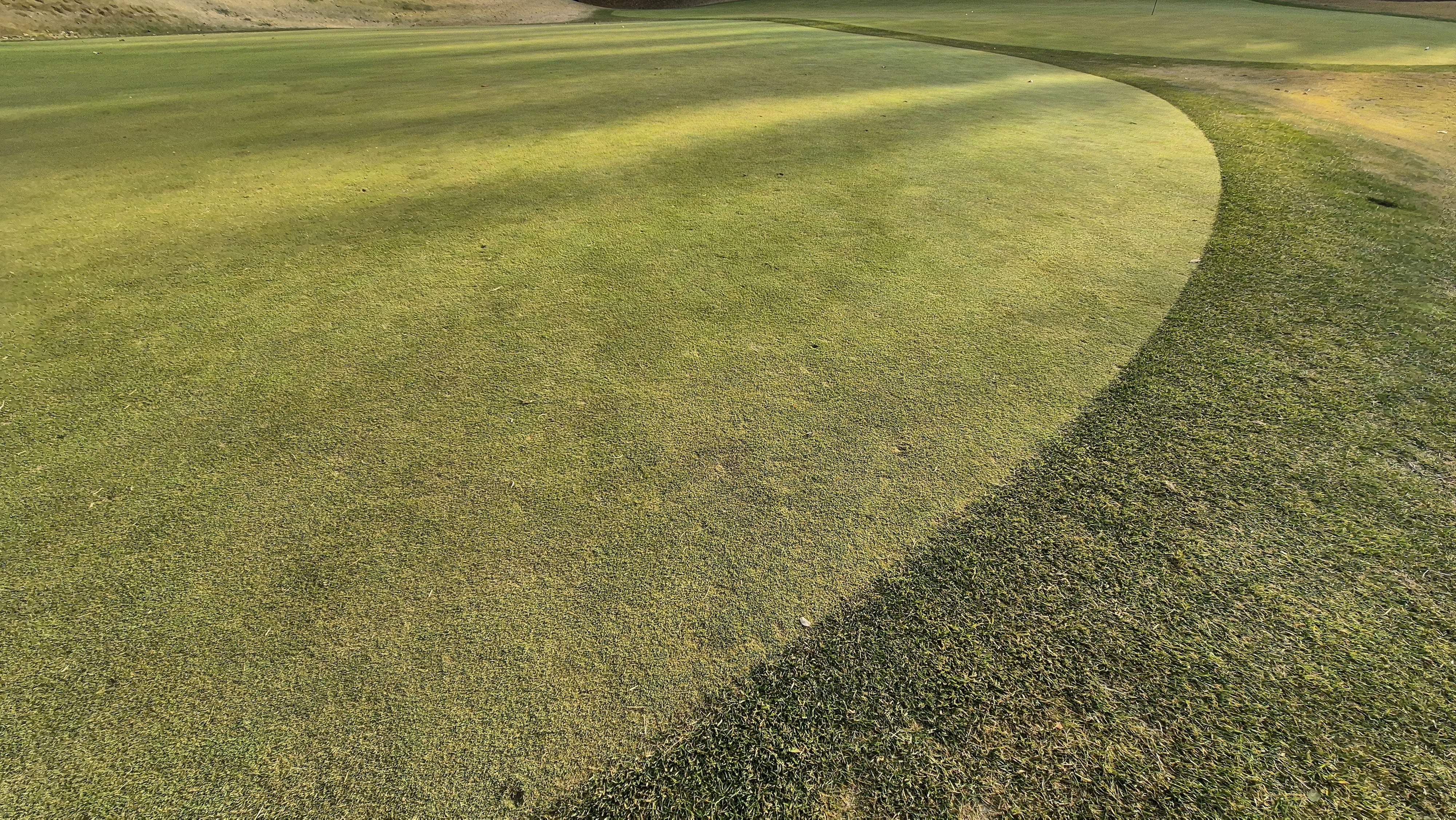 올데이 떼제베cc 가람-누리(서-남) 그린관리상태