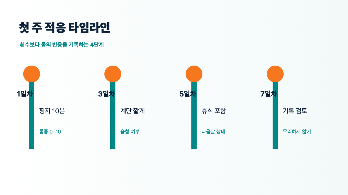 2026 계단 오르기 운동 방법|무릎 부담 줄이는 자세·안전 기준과 기록법 본문 정보 이미지 5