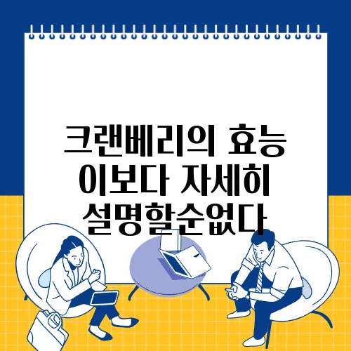 크랜베리의 효능 이보다 자세히 설명할순없다