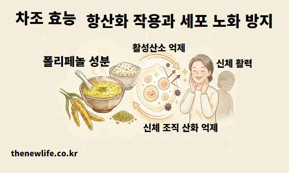 차조 효능 항산화 작용 세포 노화 방지