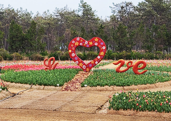 신안군 임자도 대광파크골프장 소개