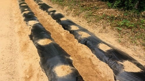 팥-적두-재배-재배밭-거름주기-밑거름-시비량